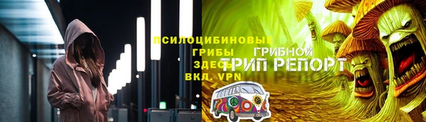 гидра Приозерск