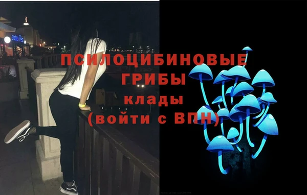 ПСИЛОЦИБИНОВЫЕ ГРИБЫ Россошь