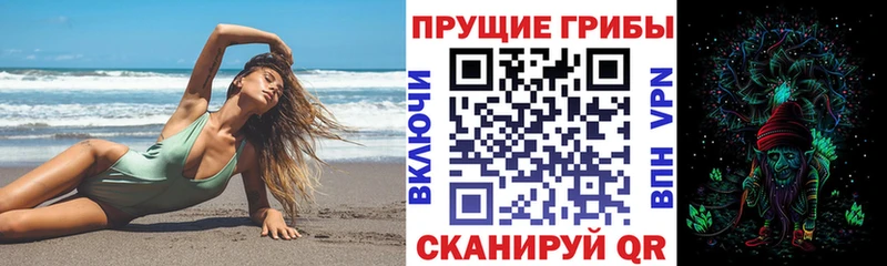 Псилоцибиновые грибы Psilocybe  Сегежа 
