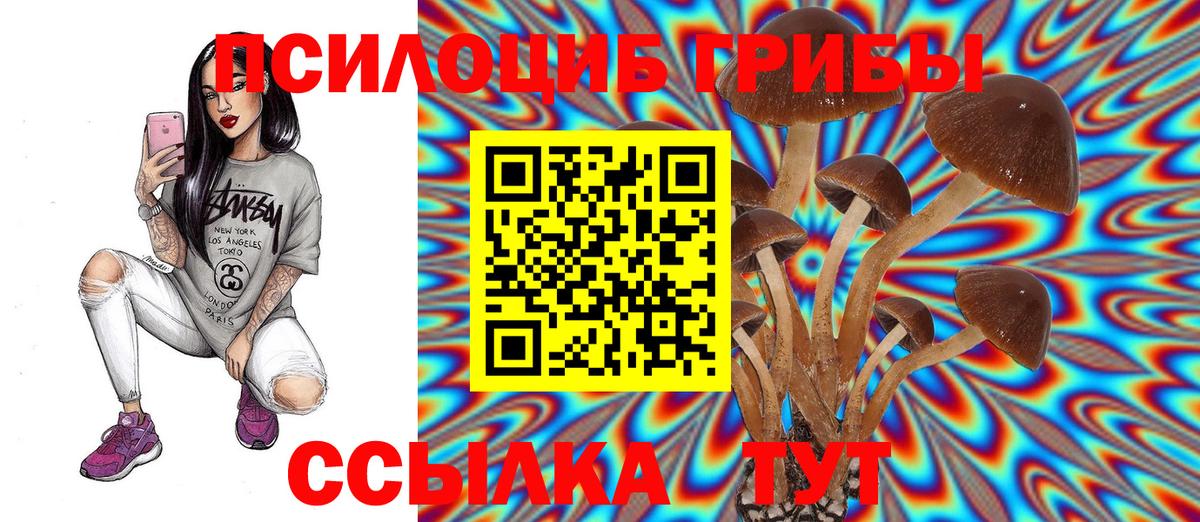 Псилоцибиновые грибы ЛСД Сегежа