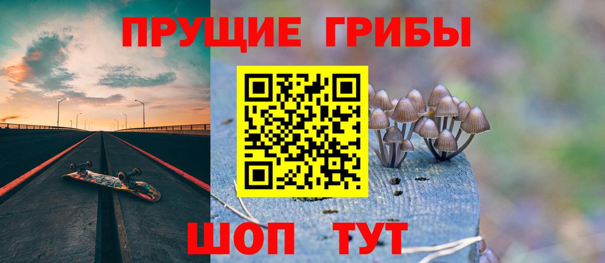 Сегежа  Псилоцибиновые грибы мухоморы  Вход с VPN 